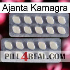 Ajanta Kamagra 07